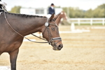 SBM_002485