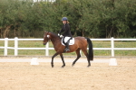 SBM_00915