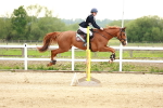 SBM_009466