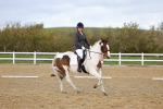 SBM_002637