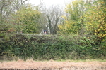 WJ6_7690