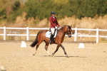 SBM_018637