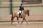 BPP_0767