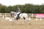 SBM_002672