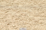 230721A-144546-07083