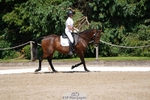 129-Julie_Wheeler-Be_My_Scout portfolio