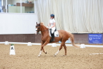SBM_002604