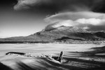 WRACK portfolio