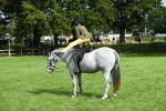 SBM_46882