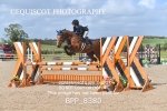 BPP_8380