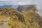 TWA  Newlands-2222