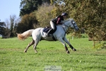 Section D, BE90 3DE Rider 301+ portfolio
