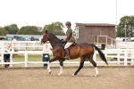 SBM_02875