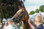 260724-Race 1-Craven-4417