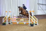 SBM_009618