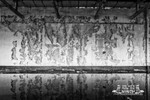 Brierfield Mills 25