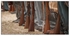 Reeantments Portfolio - 03B