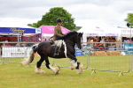 SBM_02611