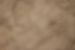 20260913-0266