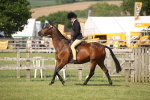 SBM_09708