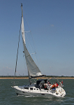 110603 HIPPOCAMPUS LEGINI IMG_0950