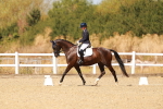 SBM_018379