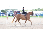SBM_17102