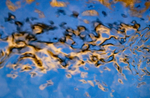 24th February Reflections