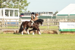 SBM_11046