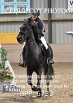 BPP_6733