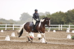 SBM_004790