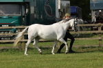 SBM_00798