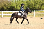 SBM_000681
