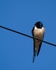 20110428-IMG_5145