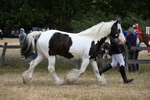 WJ6_8341