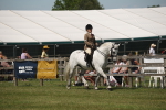 SBM_07585