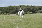 BVHT 140517  NXC -550