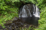 Shrouded Waterfall - Glenariff Forest Park, County Antrim.