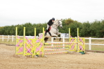SBM_016021