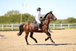 SBM_002796