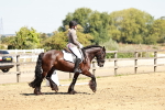 SBM_001479
