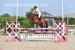 BPP_8226