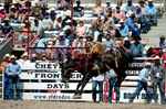 3HRodeo7-19-25_CFD_03824_