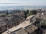 250555 Assisi