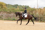 SBM_001447