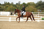 SBM_003373