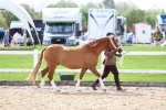 SBM_02427