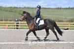BPP_9193