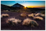 Tedei Sundown