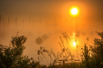 z3068 Summer Mist, Bembridge Harbour